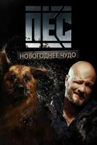 НOвOгOднuй пёc